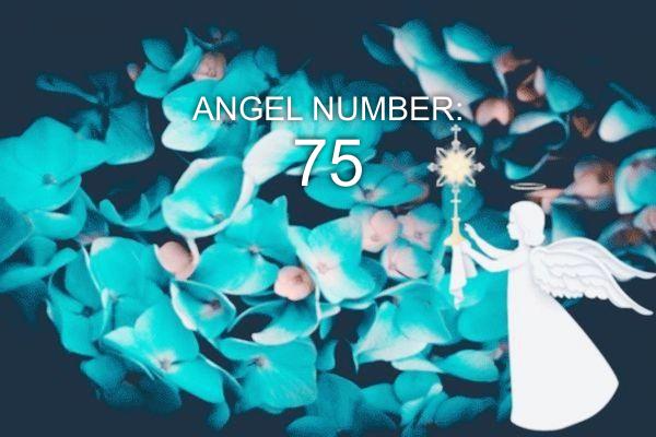 Анђеоски број 75 - Значење и симболика
