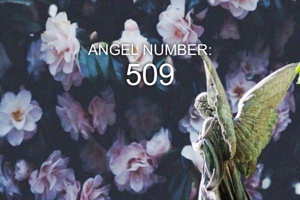 Eņģeļa numurs 509 - nozīme un simbolika