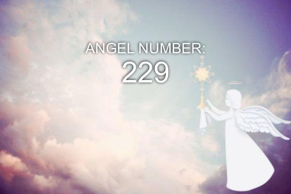 Engel Nummer 229 – Bedeutung und Symbolik