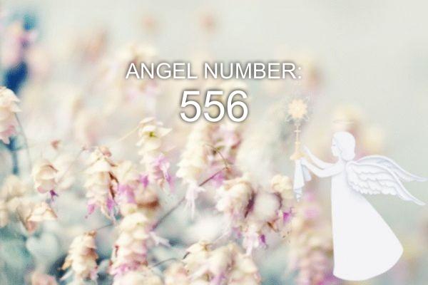 Анђеоски број 556 - Значење и симболика