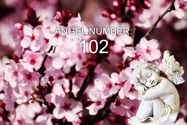 Anjo Número 102 – Significado e Simbolismo