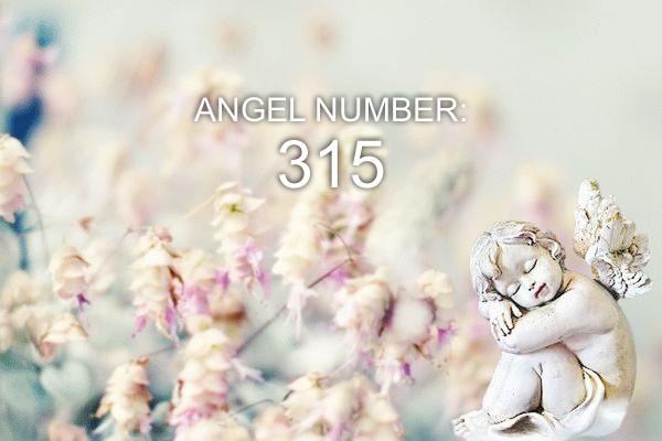 Анђеоски број 315 - Значење и симболика