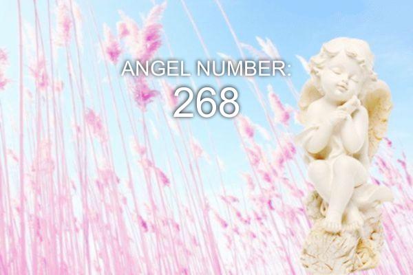 Анђеоски број 268 - Значење и симболика