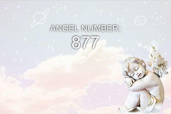 Angelo numeris 877 – prasmė ir simbolika