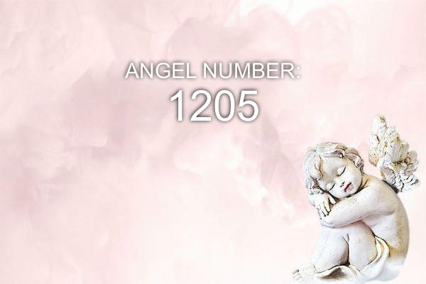 1205 Angelo numeris – reikšmė ir simbolika