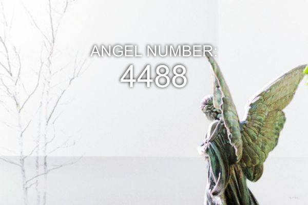 4488 Angelo numeris – reikšmė ir simbolika