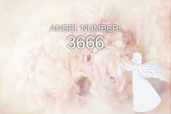 3666 Eņģeļa numurs - nozīme un simbolika
