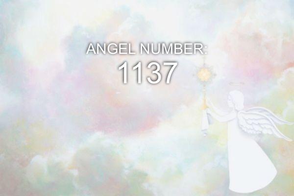 1137 Анђеоски број - значење и симболизам