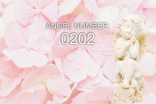 Angelska številka 0202 – pomen in simbolika