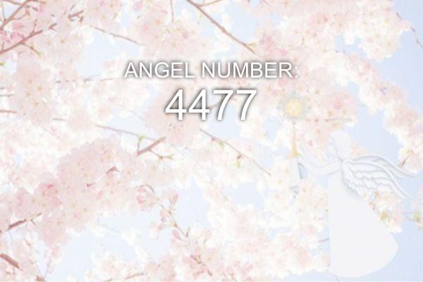 4477 Eņģeļa numurs - nozīme un simbolika