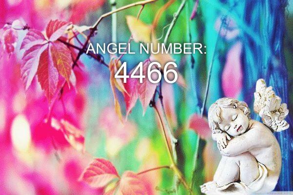 4466 Angelo numeris – reikšmė ir simbolika